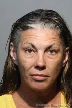 Mugshot of Patricia J Cramer booked in Seminole County, Florida on October 13, 2026