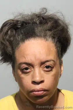Mugshot of Tenisha Ericka Sheppard booked in Seminole County, Florida on October 14, 2026