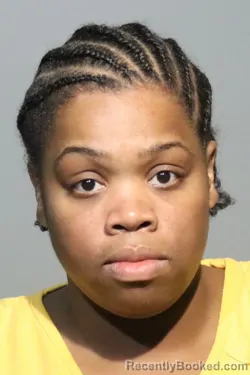 Mugshot of Cherise Monet Childress booked in Seminole County, Florida on October 14, 2026