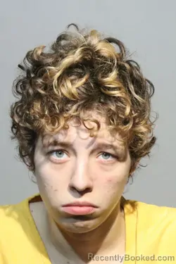 Mugshot of Adrienne Michelle Oaks booked in Seminole County, Florida on October 15, 2026