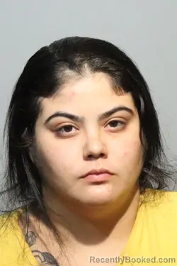 Mugshot of Karina Nahir Acosta booked in Seminole County, Florida on October 16, 2026
