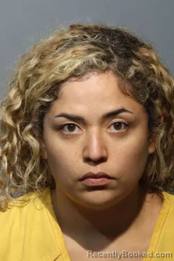 Mugshot of Denisse Alejandra Castillo booked in Seminole County, Florida on October 22, 2026