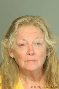 Mugshot of Patricia Ann Thompson booked in Seminole County, Florida on October 23, 2026