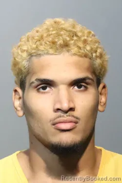 Mugshot of Carlos Joandiel Diaz Villegas booked in Seminole County, Florida on October 24, 2026