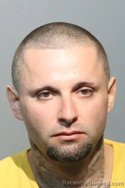Mugshot of Frank Thomas Sisinni booked in Seminole County, Florida on October 25, 2026