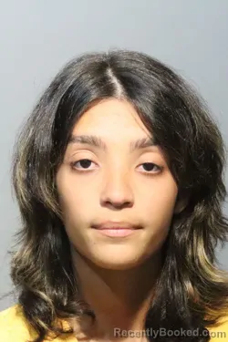 Mugshot of Gabriela Nicole Gines Rodriguez booked in Seminole County, Florida on October 25, 2026