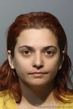 Mugshot of Vanessa Fumero-Mejia booked in Seminole County, Florida on October 26, 2026