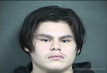 Mugshot of JOSHUA ALEJANDRO VELASQUEZ