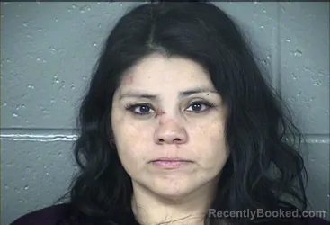 Mugshot of JULIANA ZAMORA