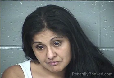 Mugshot of RAQUEL LINARES