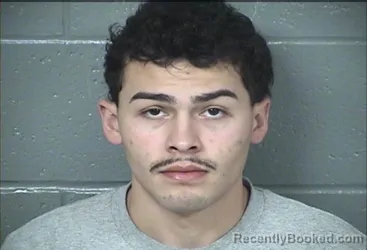 Mugshot of JUAN G GARNICA-BALLMER