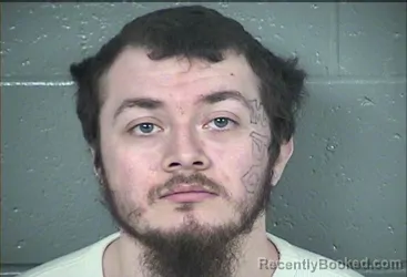 Mugshot of JONATHON DAVID JESUS HUBER