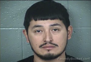 Mugshot of MARTIN ORTEGA
