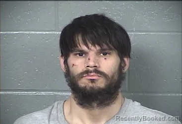 Mugshot of CARL SHANE STARK