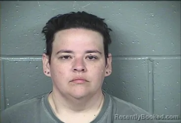 Mugshot of AMY MARIE WILD