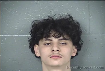 Mugshot of MICHAEL JASON RASINS booked in Wyandotte County, Kansas on March 21, 2026