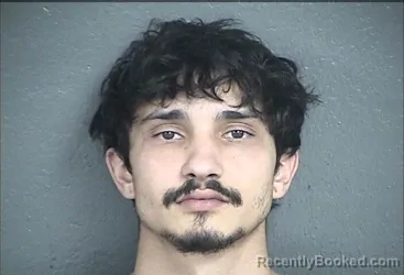 Mugshot of NIKHIL AJIT FENANI booked in Wyandotte County, Kansas on March 31, 2026