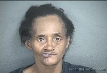 Mugshot of GAYLENE RENAY JAMES booked in Wyandotte County, Kansas on April 30, 2026