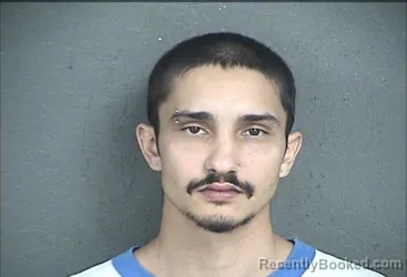 Mugshot of Nikhil Ajit Fenani booked in Wyandotte County, Kansas on August 19, 2026