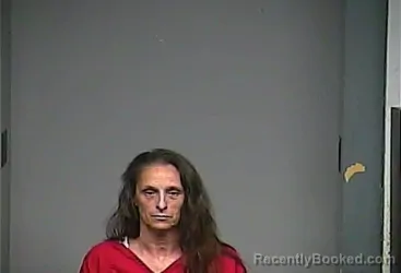 Mugshot of AMBERLY LYNN LAKES booked in Adams County, Ohio on July 18, 2026