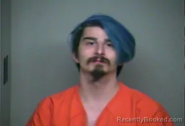 Mugshot of JARRED VS DHONAU