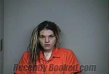 Booking photo from Adams County, Ohio