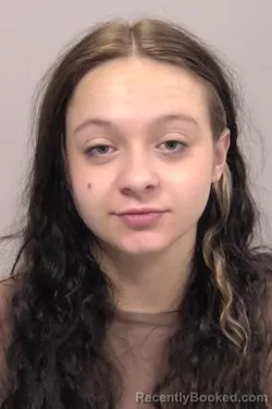 Mugshot of Genesis Dawn Louann Hefner