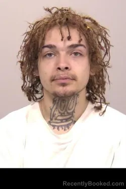 Mugshot of Carl Allan Third Jones