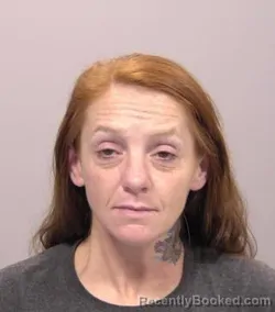 Mugshot of Erica Lynn Ellis