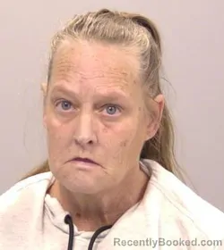 Mugshot of Amy Lee Kervin