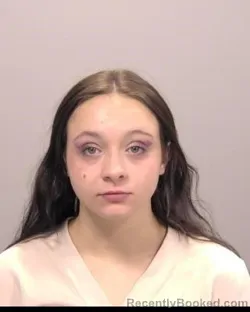 Mugshot of Genesis Dawn Louann Hefner