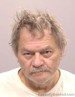 Mugshot of Ronald Emerson Junior Shoffner