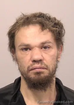 Mugshot of Justin Michael Lee