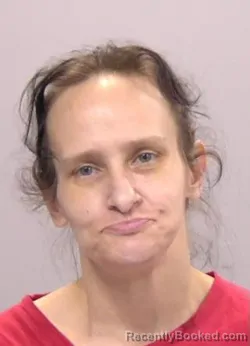 Mugshot of Sally Jo Schneider