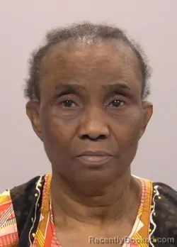 Mugshot of Olufunmilayo Abimola Enigbokan