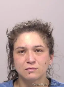 Mugshot of Konni Sue Brooks