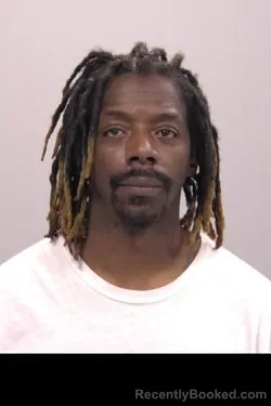 Mugshot of Breshawn Demere Petaway