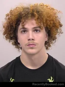 Mugshot of Jace Amari Hicks