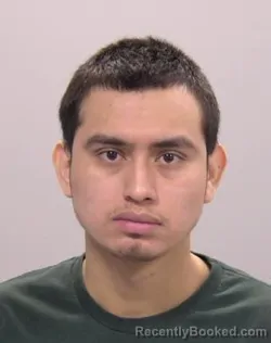 Mugshot of Gerson Oto Castillo Hernandez