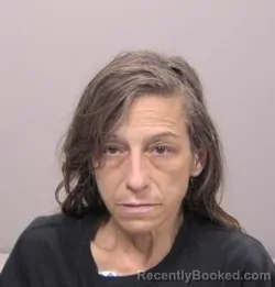 Mugshot of Jodi Renae McDaniel booked in Allen County, Ohio on April 17, 2026