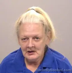 Mugshot of Pamela Sue Logan booked in Allen County, Ohio on June 4, 2026