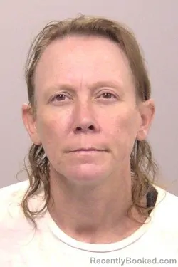 Mugshot of April Alene Brown booked in Allen County, Ohio on July 10, 2026
