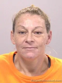 Mugshot of Vanessa Jo Ann Wallen booked in Allen County, Ohio on August 24, 2026