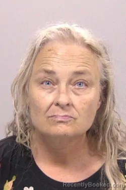 Mugshot of Jill M Ruda Triplett booked in Allen County, Ohio on September 11, 2026