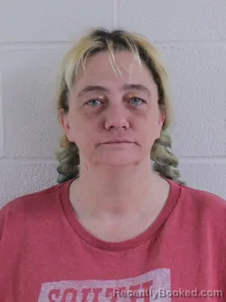 Mugshot of BRANDY MARIE HAAS