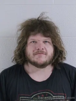 Mugshot of CORY BRYCE LEAVER