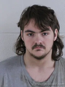 Mugshot of GAVIN ALEXAVIER JAMES VANZILE