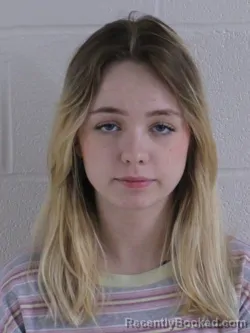 Mugshot of ASHLEY WARREN