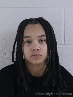Booking photo from Ashland County, Ohio