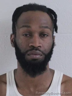 Mugshot of MICHAEL LEVEALLE ANDERSON